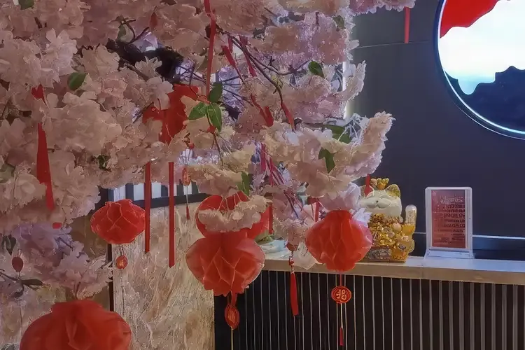 峴港 New Sakura 按摩 8