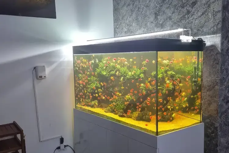 河內 Gangnam Spa 8